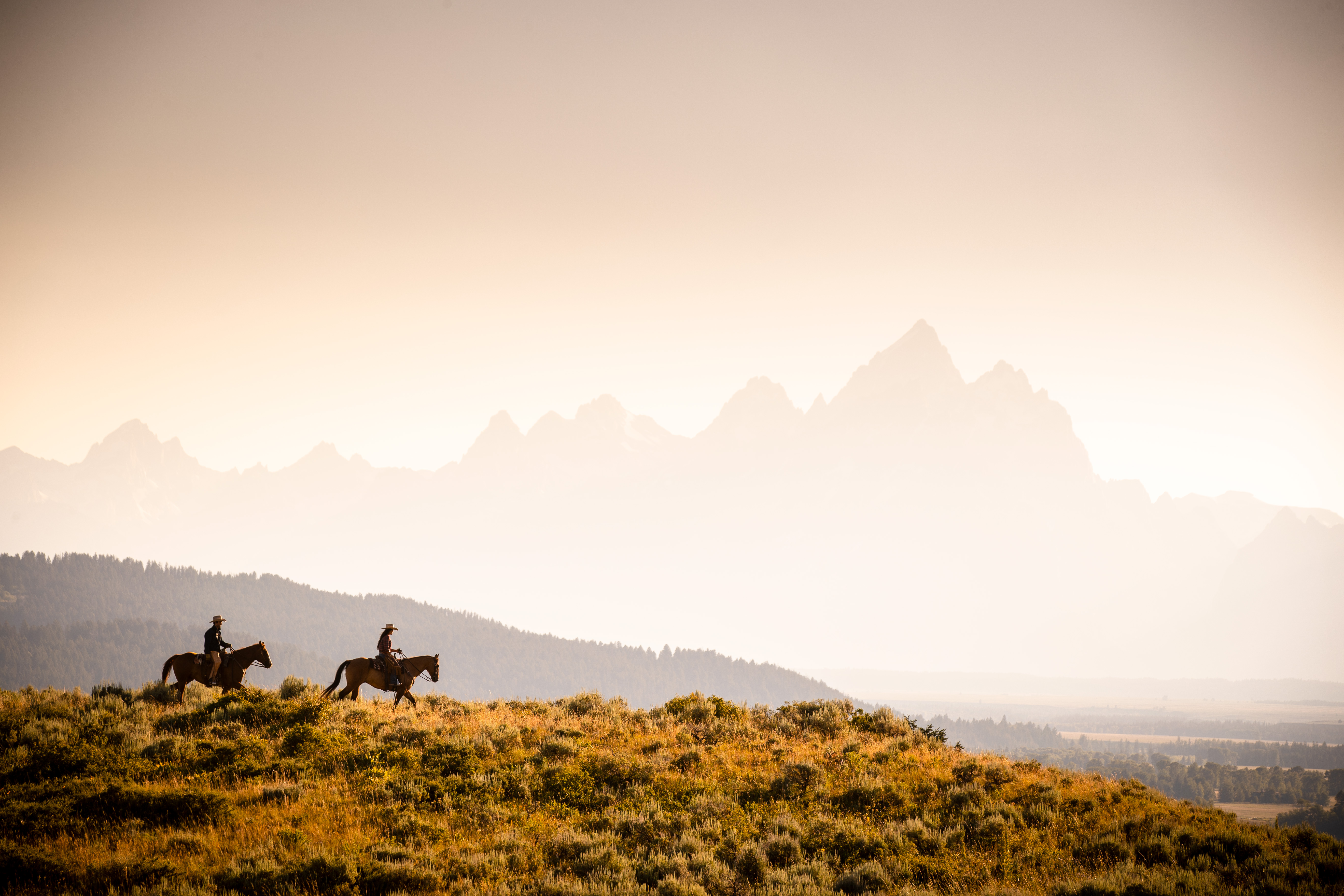 HDWyomingCowboys 2012