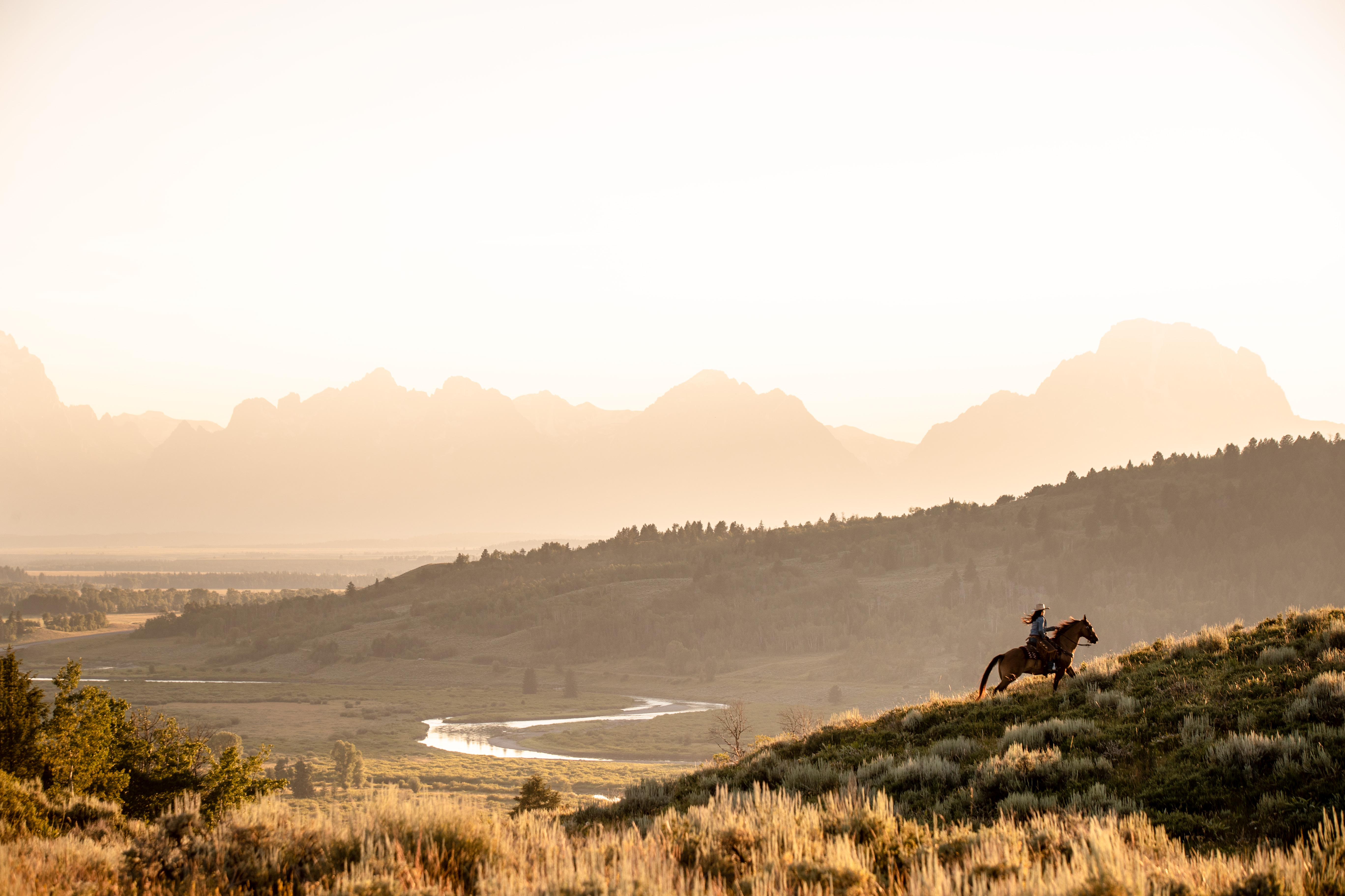 HDWyomingCowboys 3239