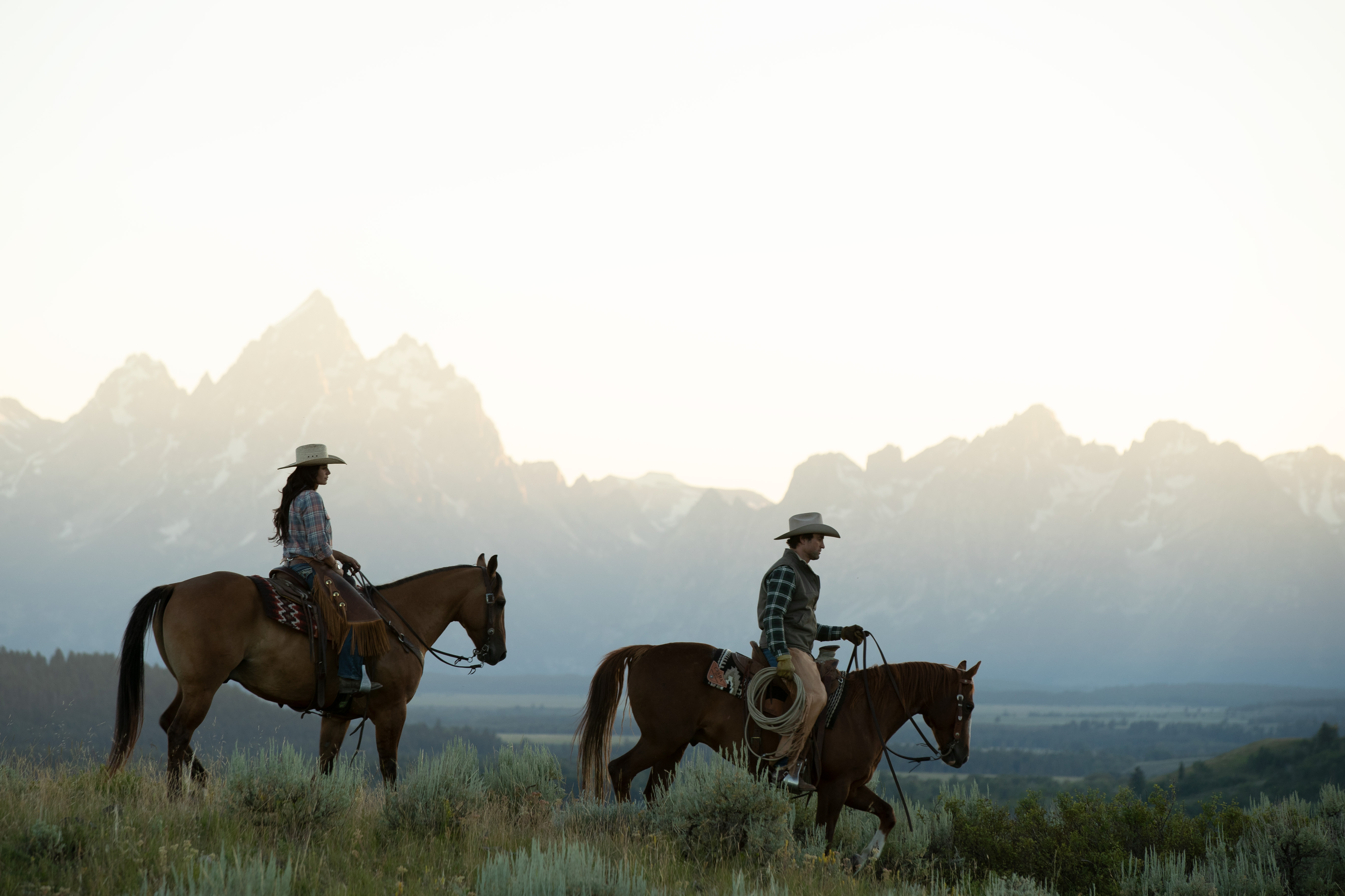 HDWyomingCowboys 6501