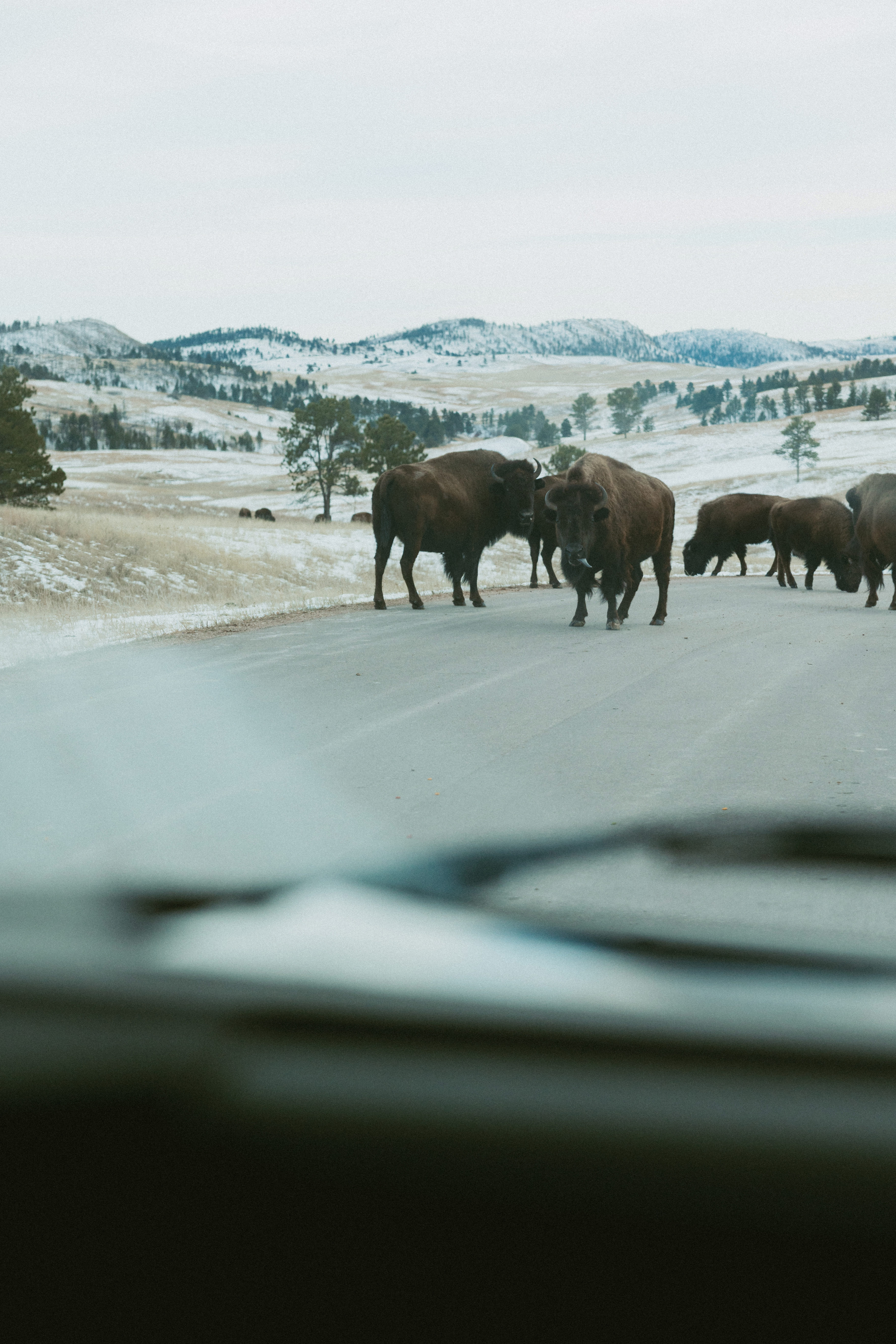 HDFahrzeugeCamper USABadlands view2