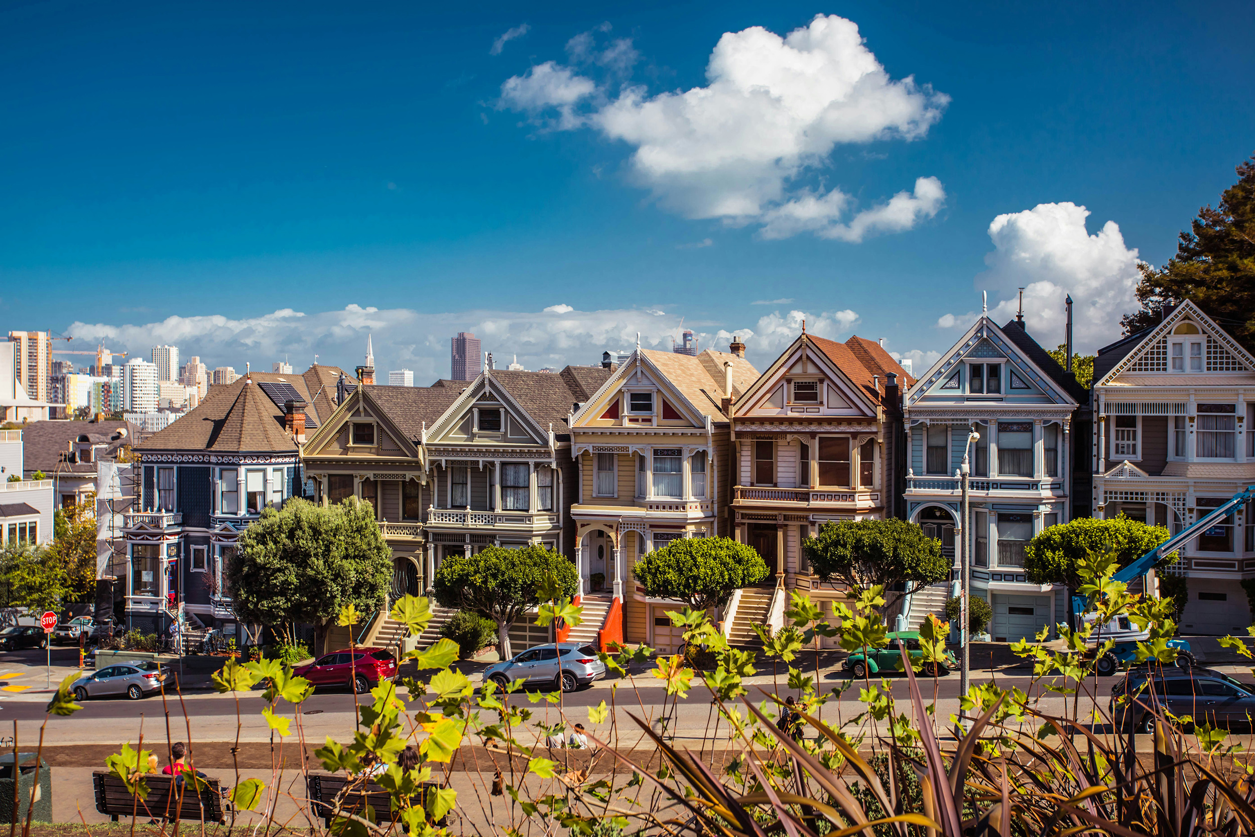 CaliforniaSan FranciscoAlamo squere Painted Ladies