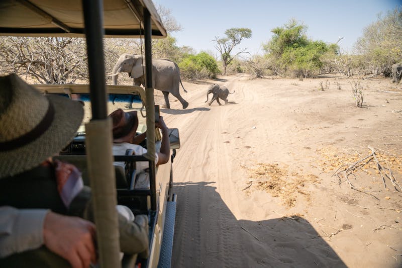 HDHotelNamibiaChobe Water VillasGame Drive Chobe Nationalpark