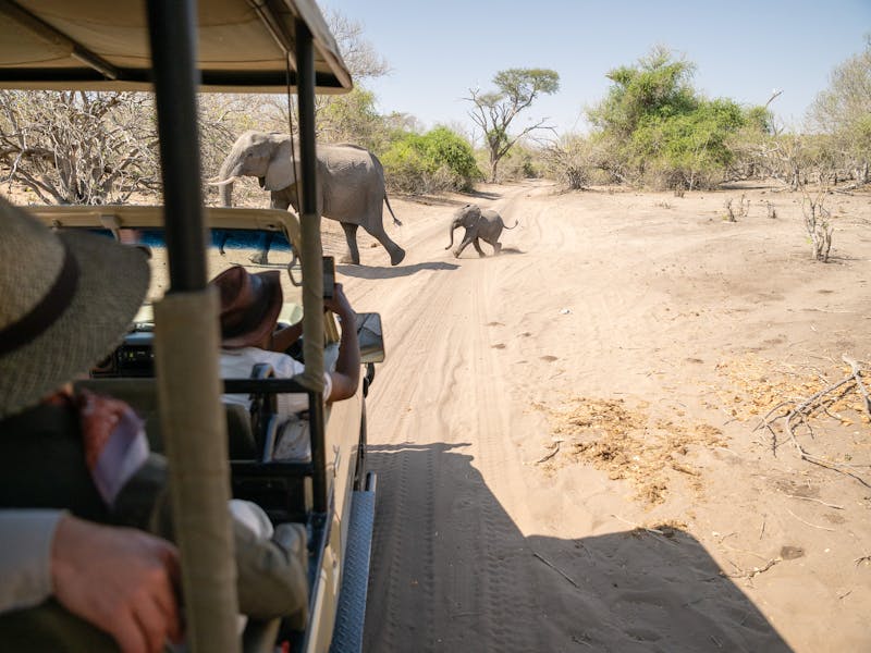 HDHotelNamibiaChobe Water VillasGame Drive Chobe Nationalpark
