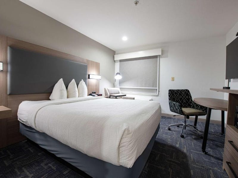 HDHotelLouisianaLafayetteBest Western Lafayette InnZimmer