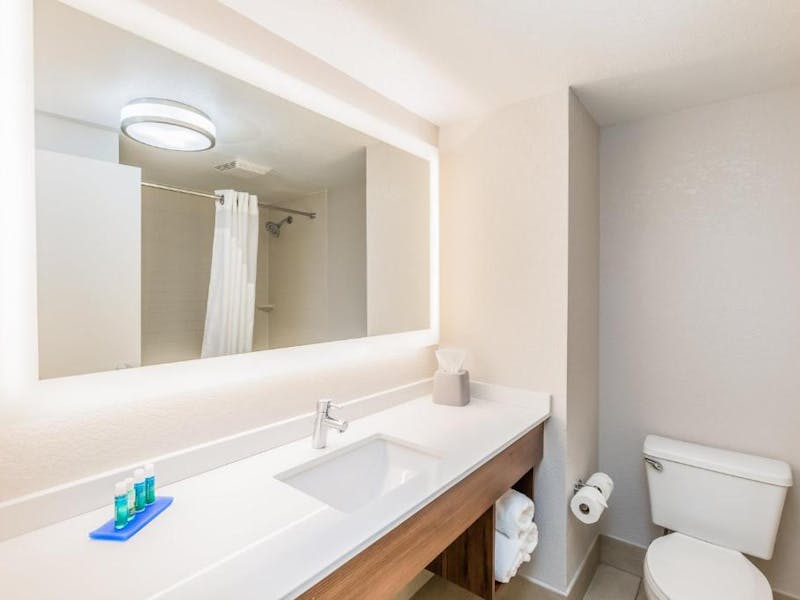 HDHotelAlabamaOrange BeachHoliday Inn Express Orange BeachBadezimmer