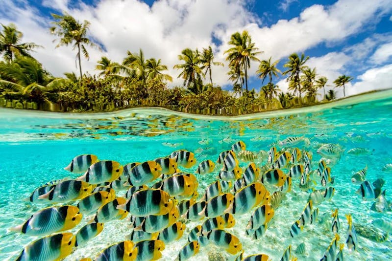 HDfranzoesisch polynesienRaiateaRaiatea