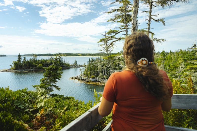 HDNova ScotiaEastern ShoreTaylorHead 2221