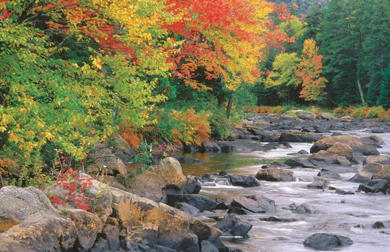 HDQuebecLaurentidesMont Tremblant NP Riviere du Diable TQ 003363 Heiko Witten