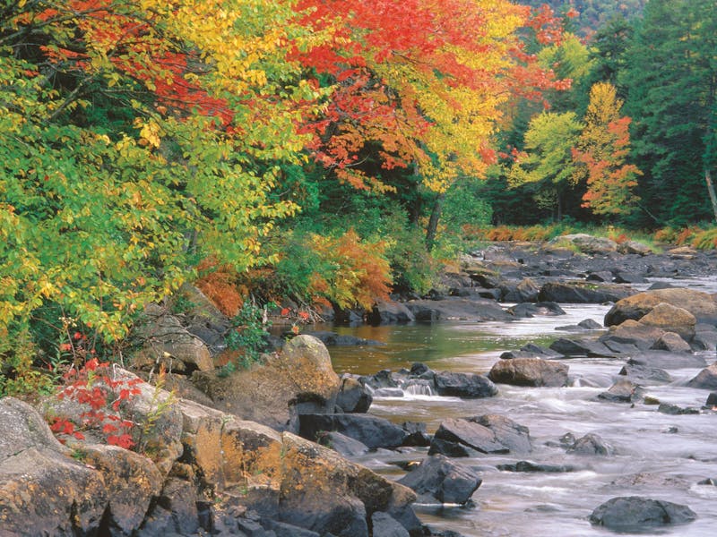 HDQuebecLaurentidesMont Tremblant NP Riviere du Diable TQ 003363 Heiko Witten