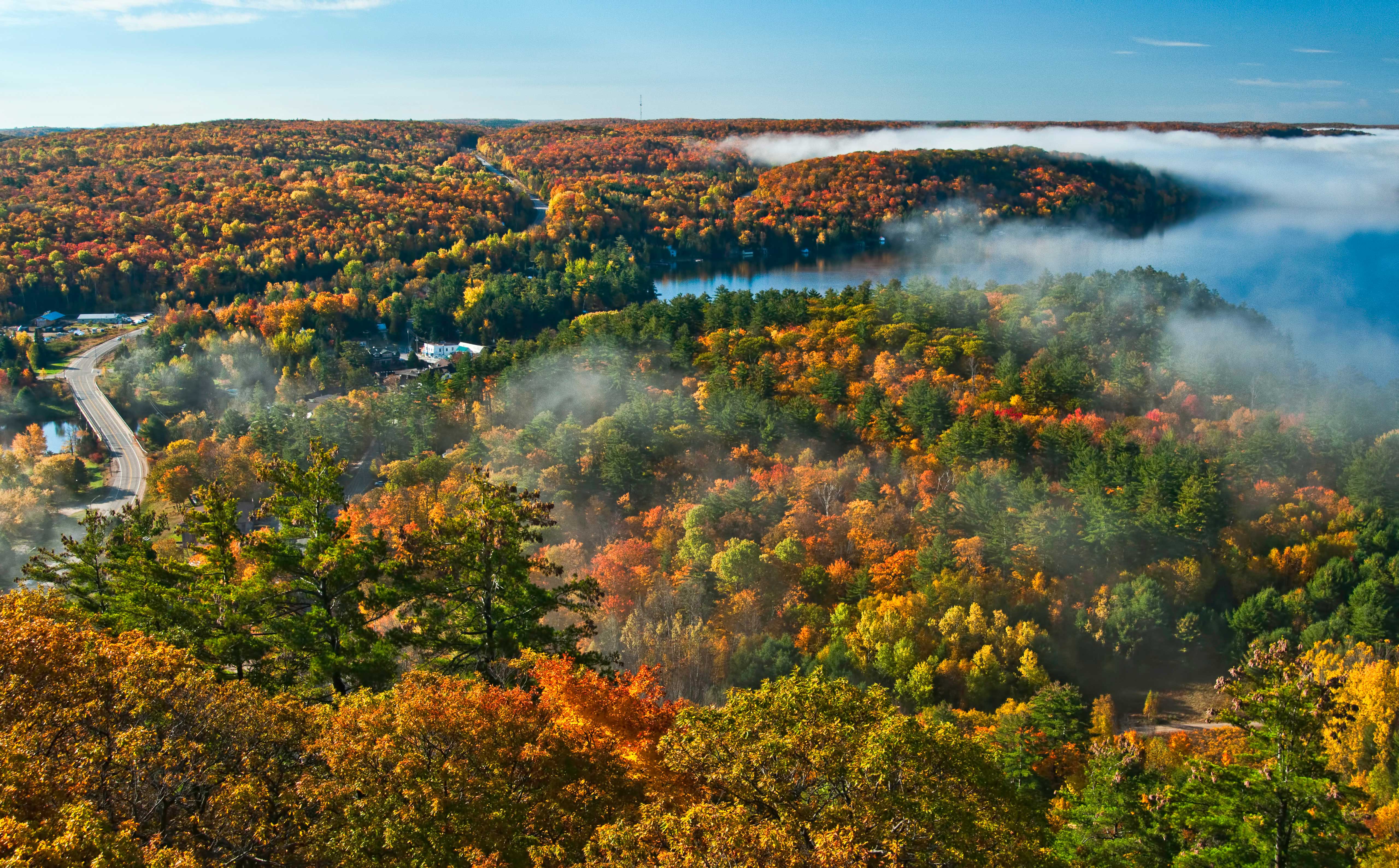 Herbst im Algonquin Park