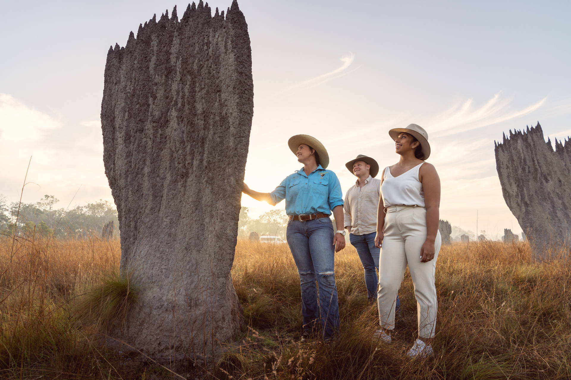 HDHotelAustralienNTFinniss River LodgeTermitenbau