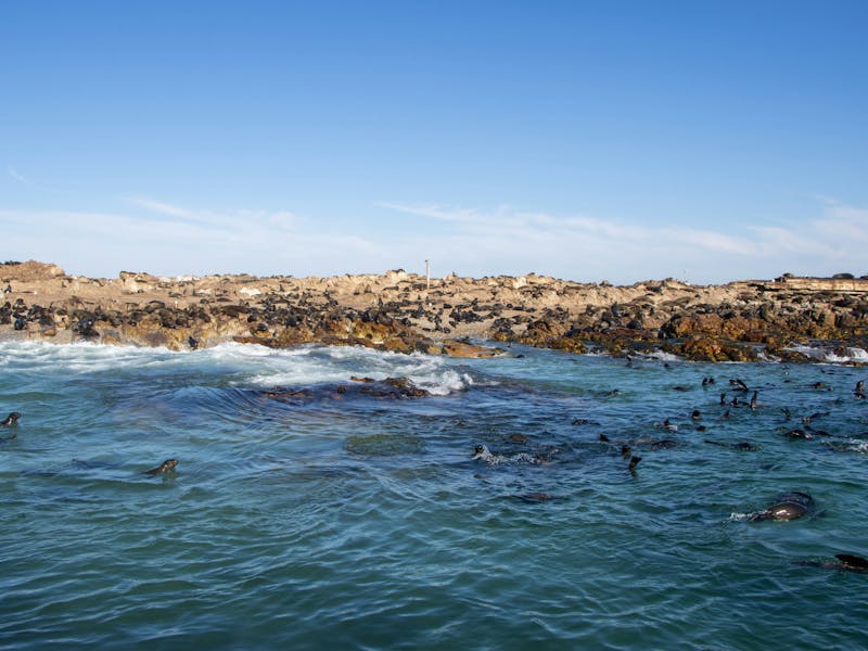 HDSuedafrikaGansbaaiKueste3