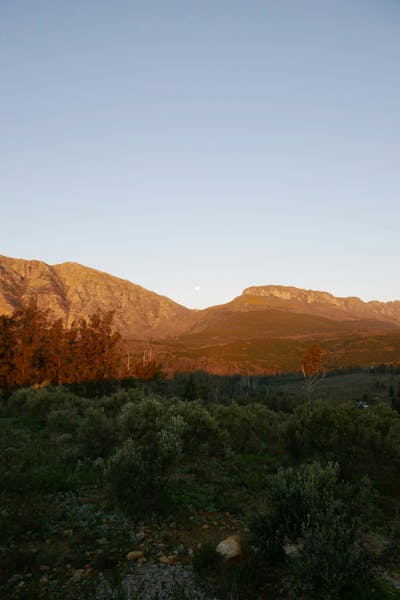 HDSuedafrikaPaarlBerge