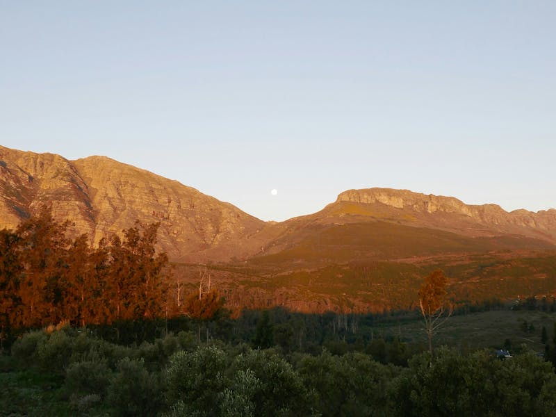 HDSuedafrikaPaarlBerge