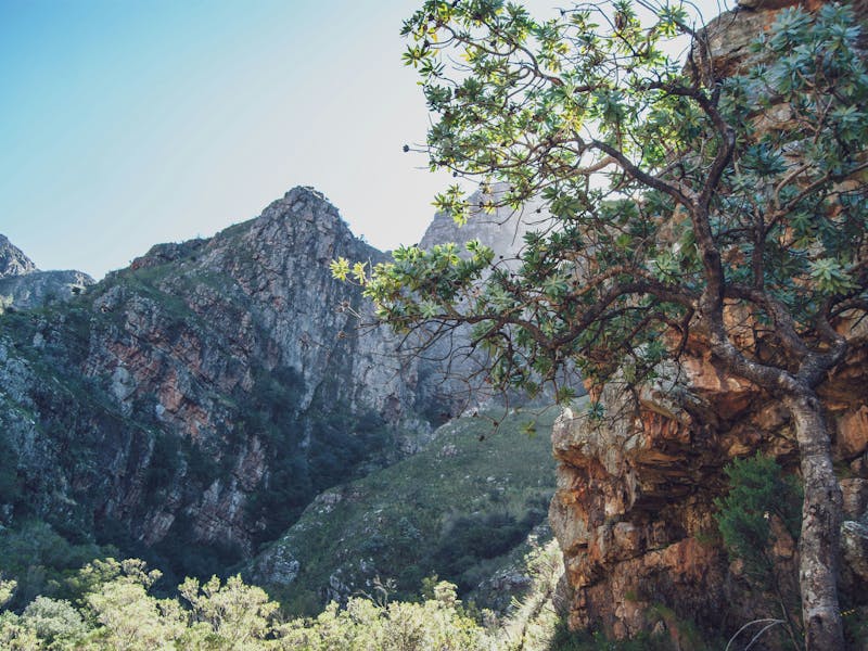 HDSuedafrikaPaarlBerge2