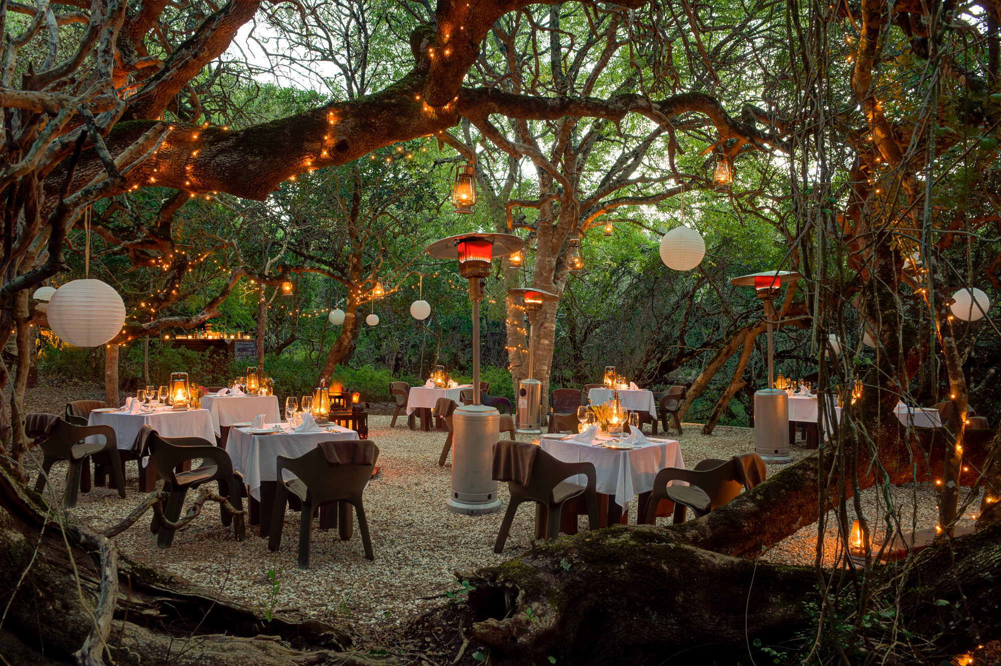 HDHotelSuedafrikaGrootbos Private Nature Reserve and Farmaccommodation forest