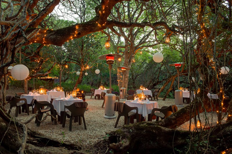 HDHotelSuedafrikaGrootbos Private Nature Reserve and Farmaccommodation forest