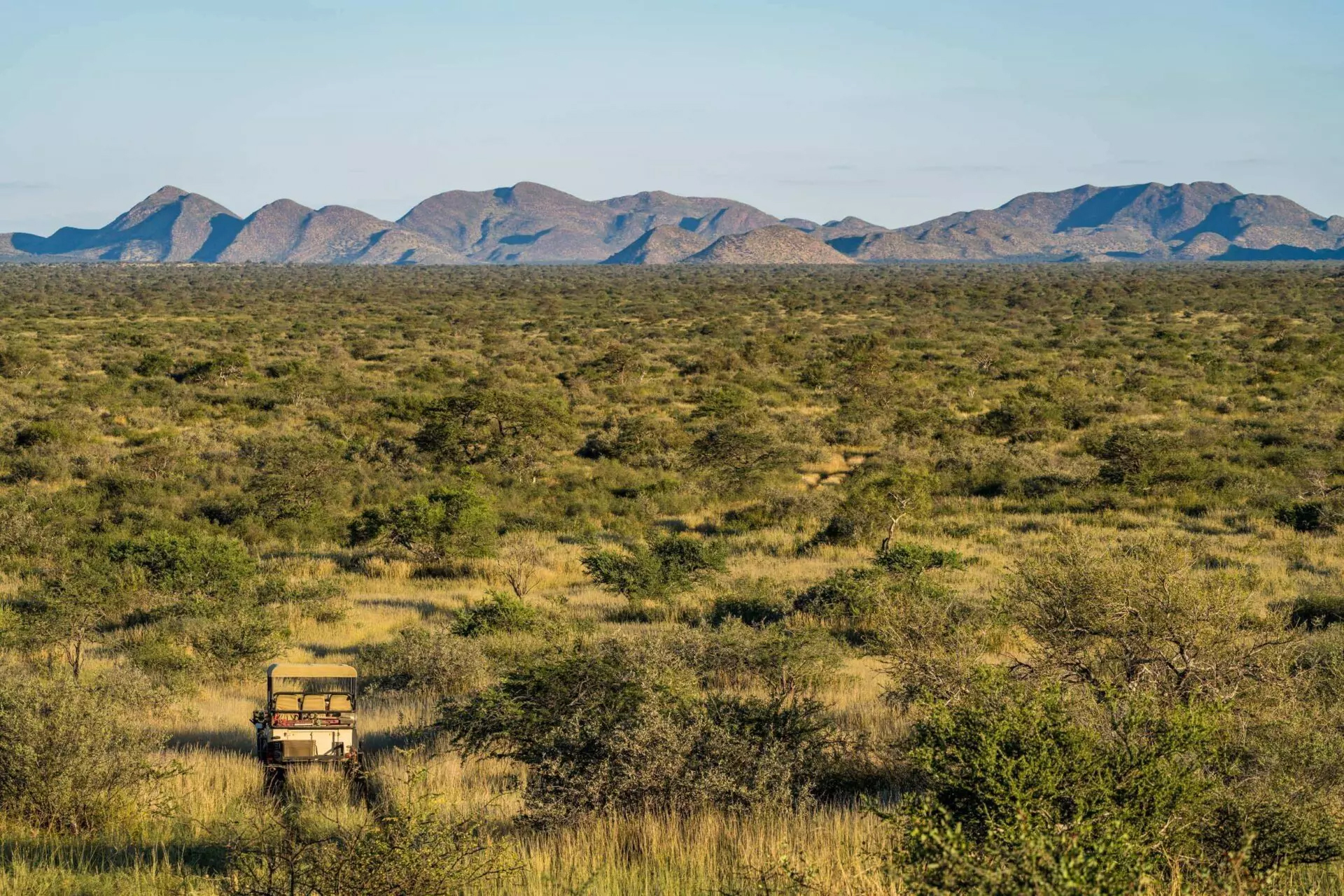 HDHotelSuedafrikaTswalu Kalahari ReserveSafari