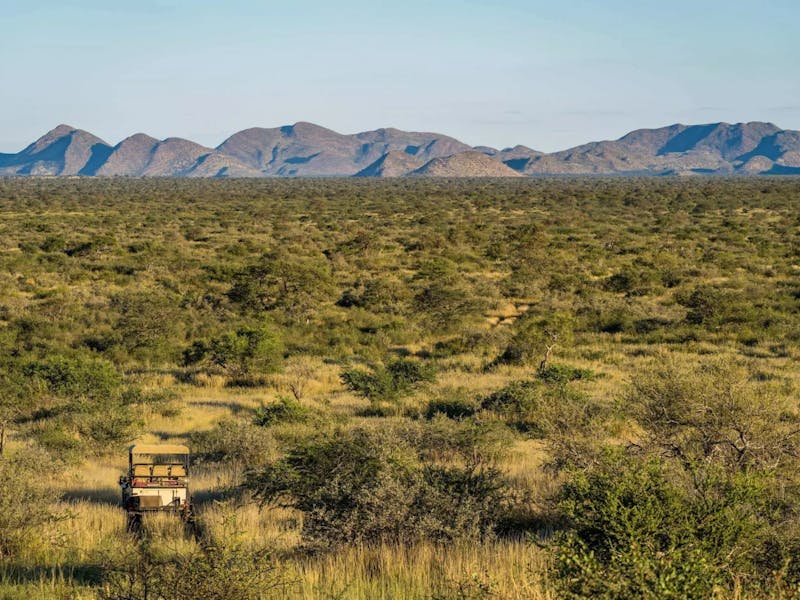 HDHotelSuedafrikaTswalu Kalahari ReserveSafari