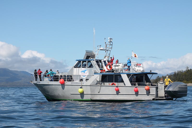 Vancouver Island - Tofino Bear Watching Boot