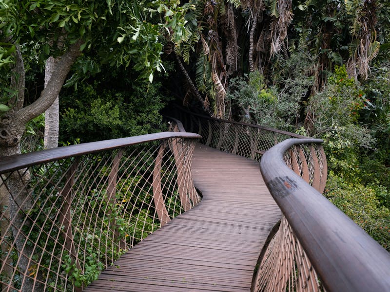 HDSuedafrikaKirstenboschBotanischer Garten3