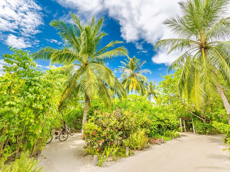 HDHotelMaledivenLUX South Ari AtollAnlage