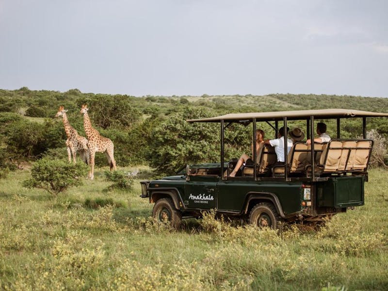 HDHotelSuedafrikaAmakhalaBush Lodge Safari