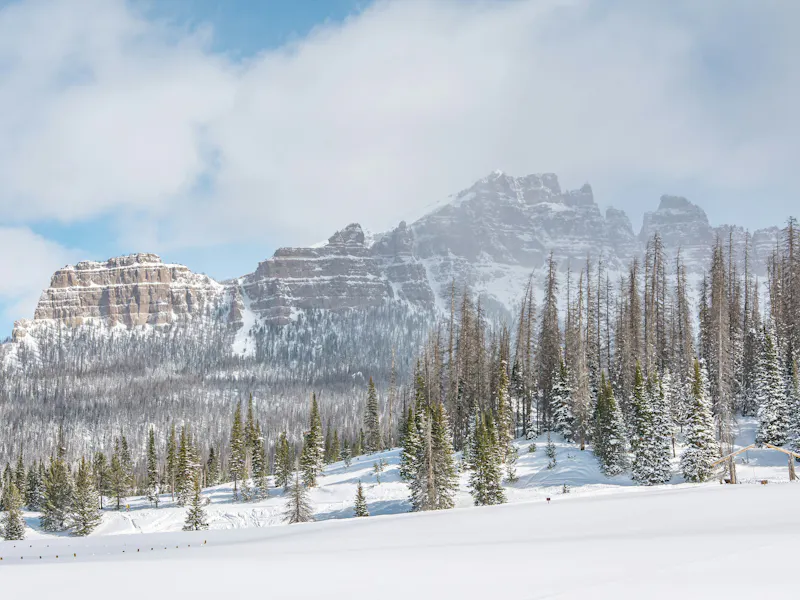 HDWyomingYellowstone National ParkYellowstone2