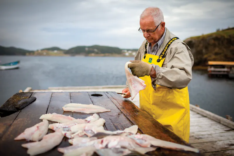 Fischer, Bonavista-Halbinsel