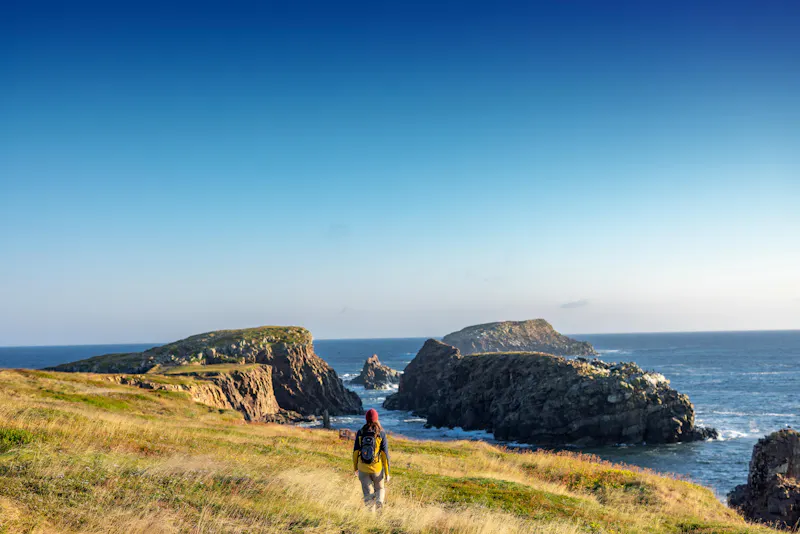 Küste bei Elliston, Bonavista-Halbinsel