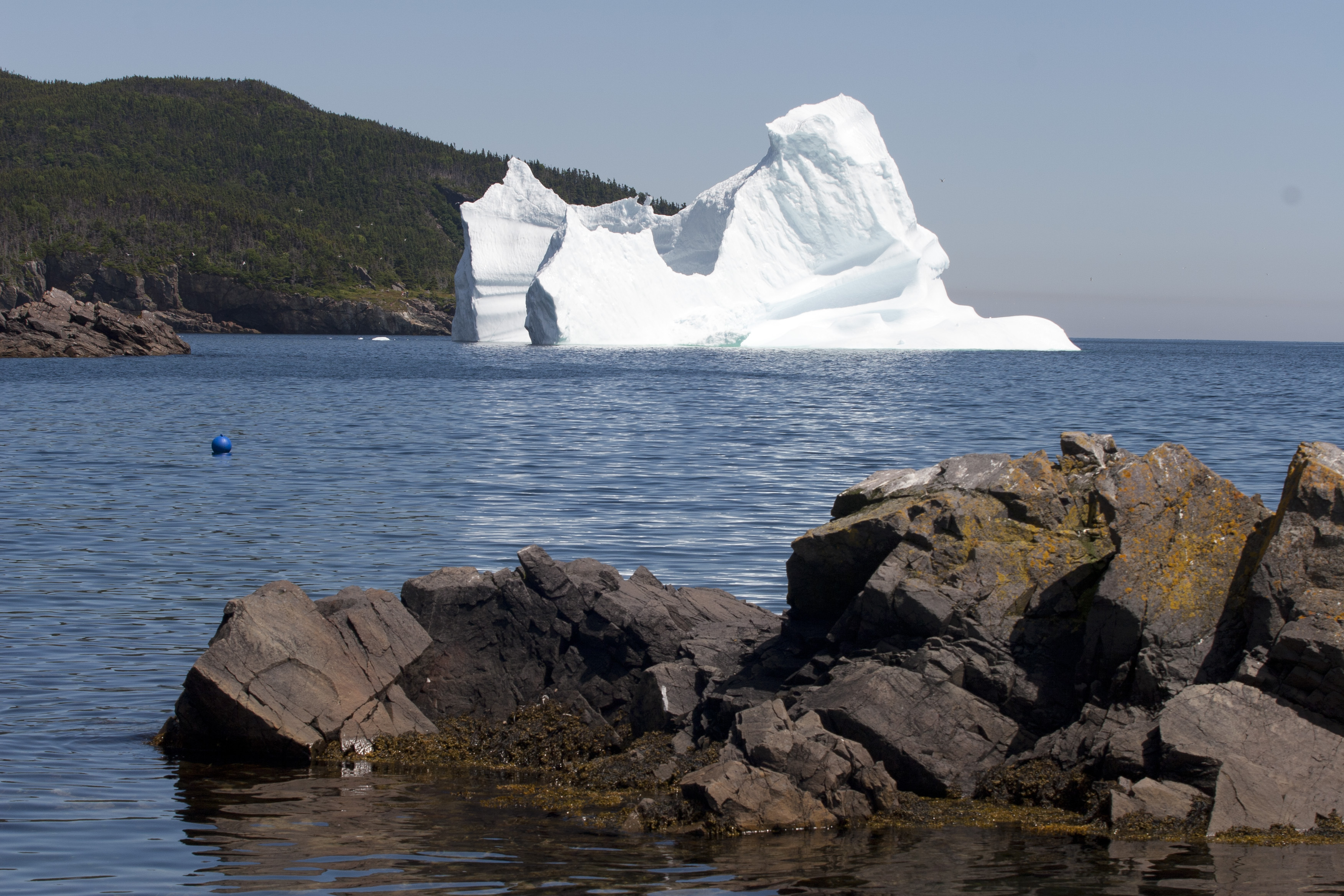 Iceberg Alley, Twillingate