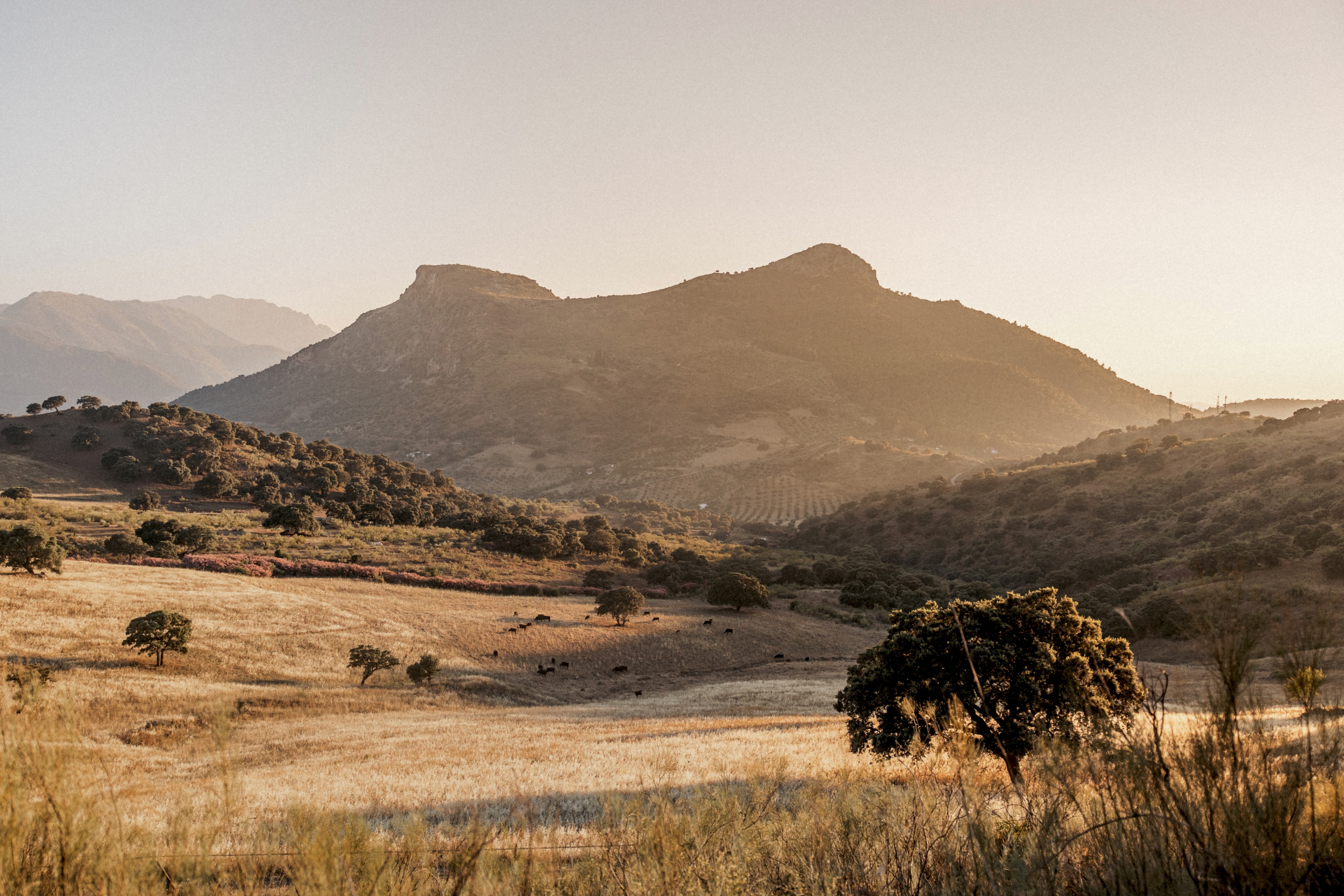 HDHotelSpanienLa DonairaEstate and Landscape 09