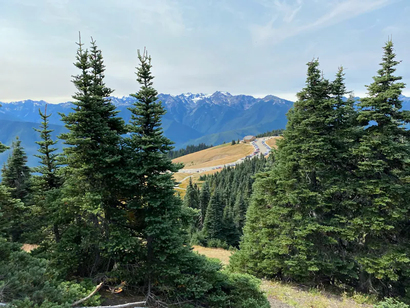 HDWashingtonOlympic National ParkHurricane Ridge