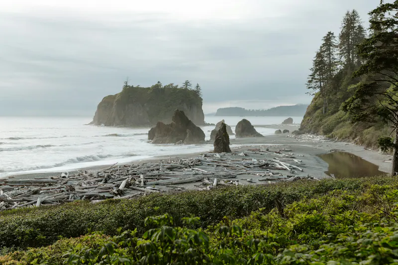 HDWashingtonOlympic National ParkRuby Beach