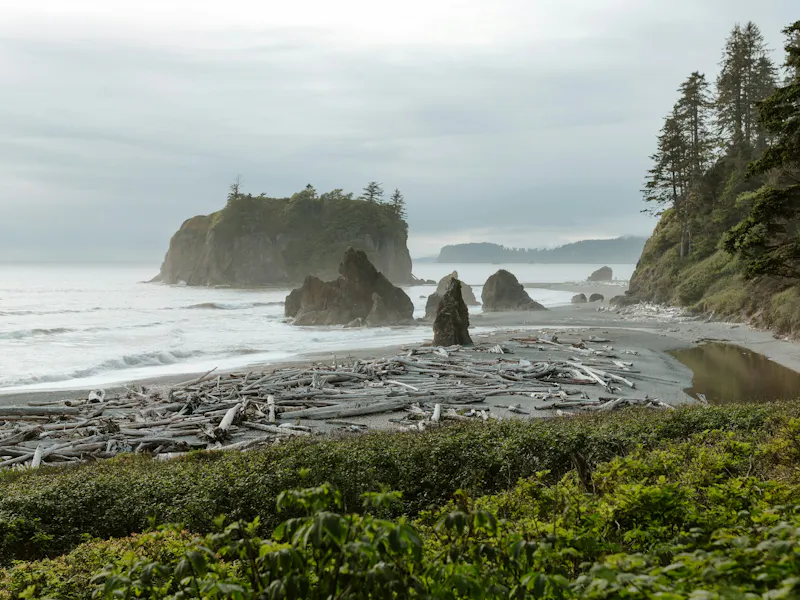 HDWashingtonOlympic National ParkRuby Beach