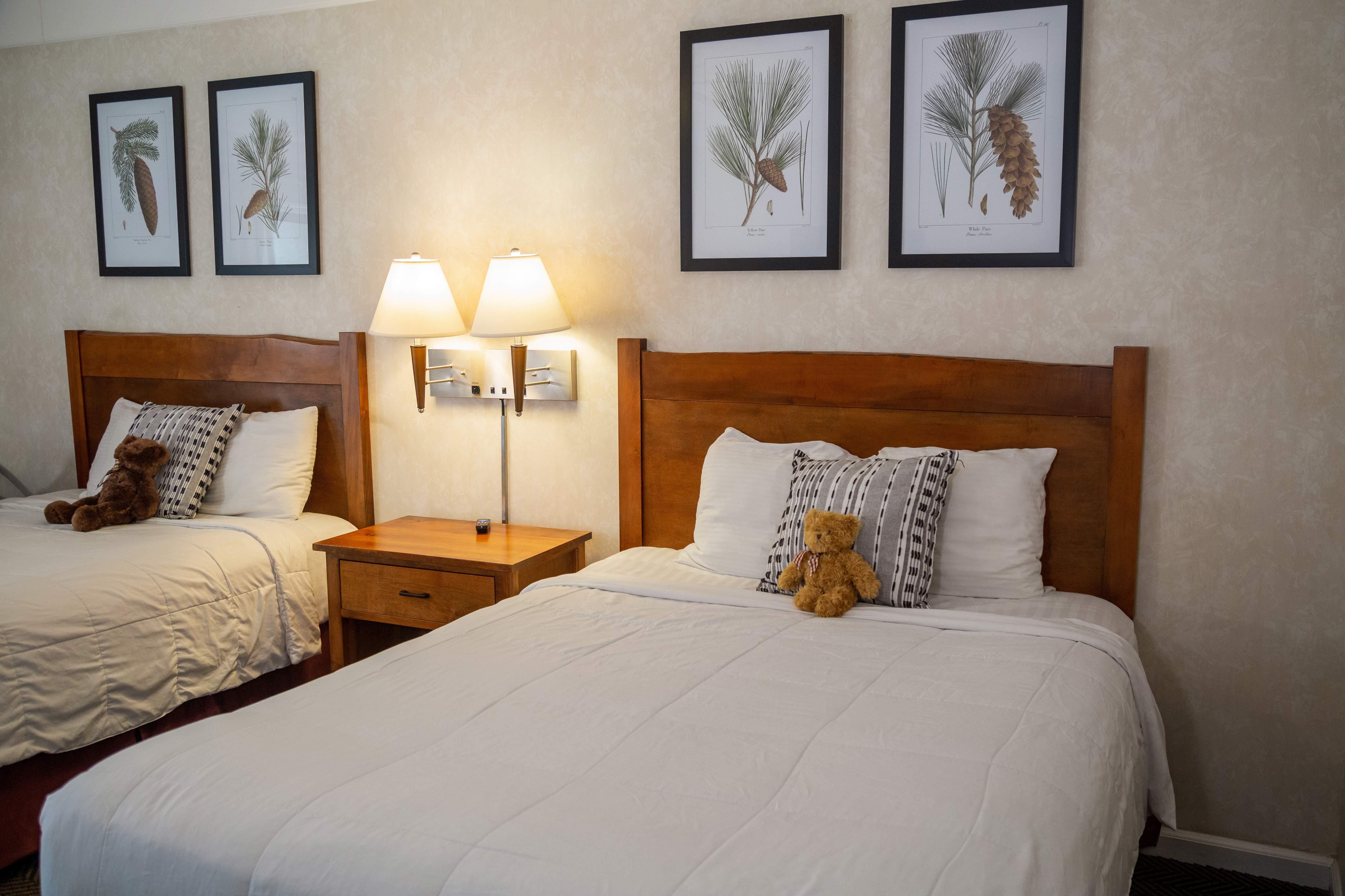 Lodge 2 Queen Room