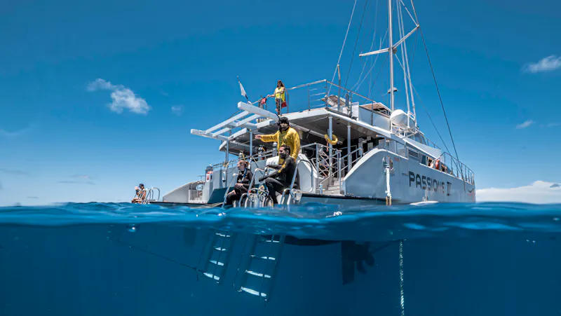 HDAustralienQLDGreat Barrier ReefPassionsBack of the boat POP
