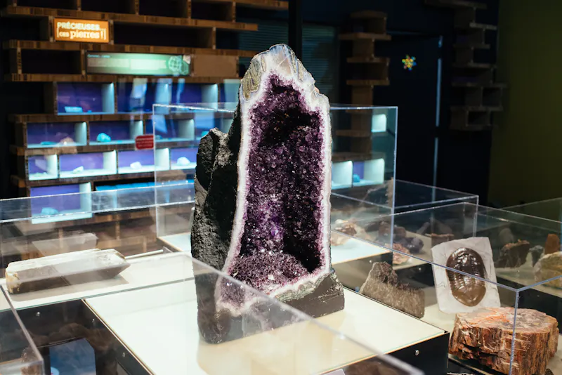 Musee Malartic