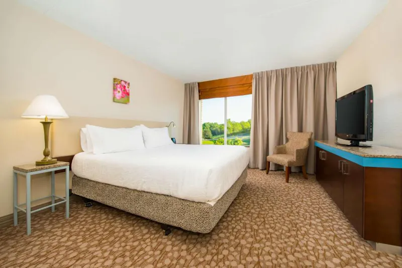 HDHotelVirginiaHilton Garden In CharlottesvilleZimmer