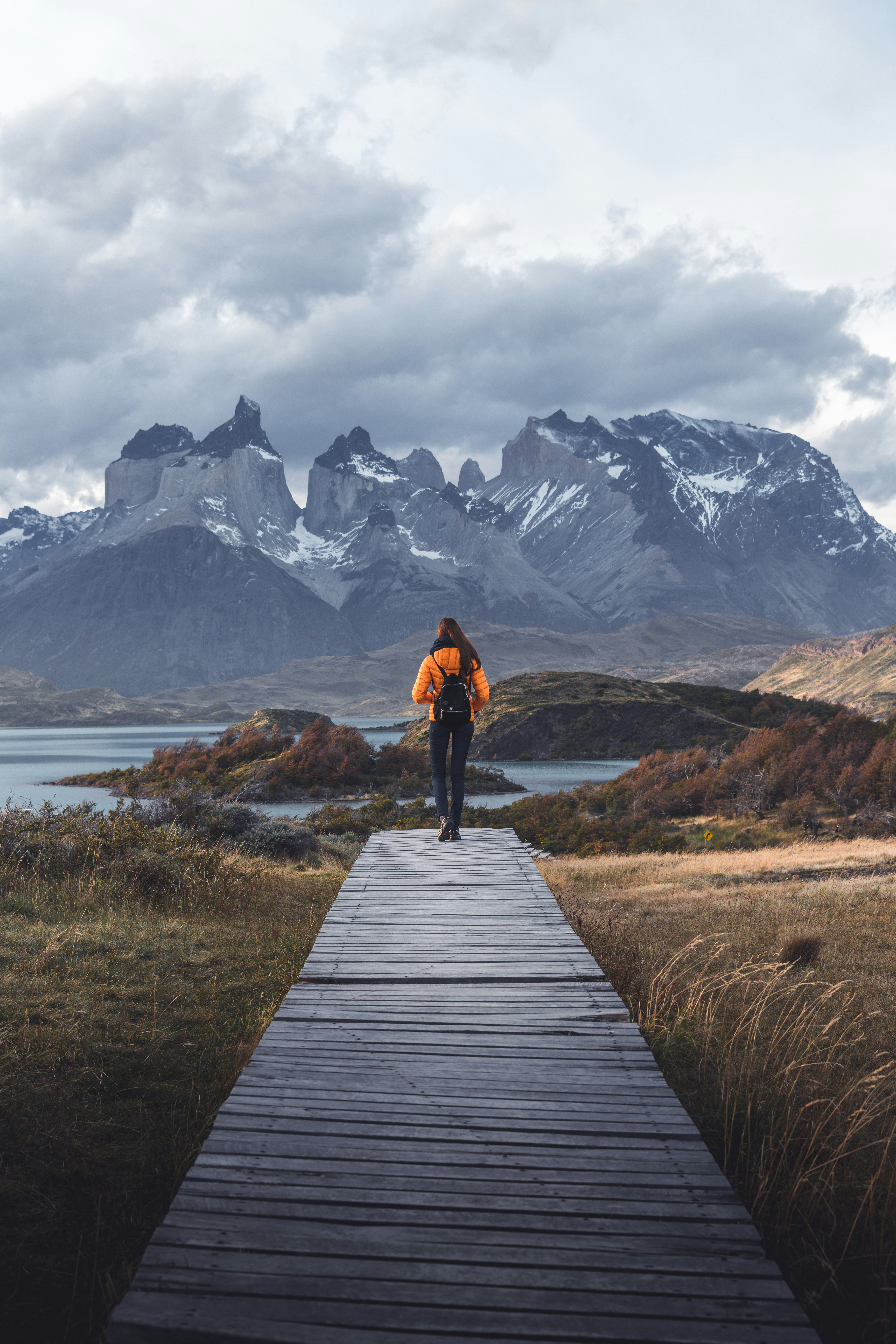 HDChileTorres del PaineWanderin vor Bergen
