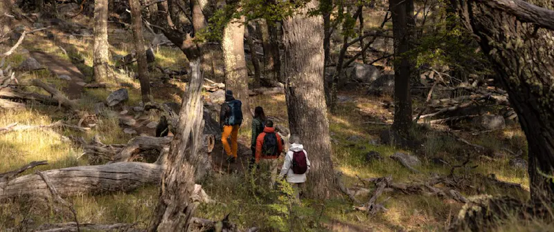HDHotelArgentinienExplora El ChaltenWandern4