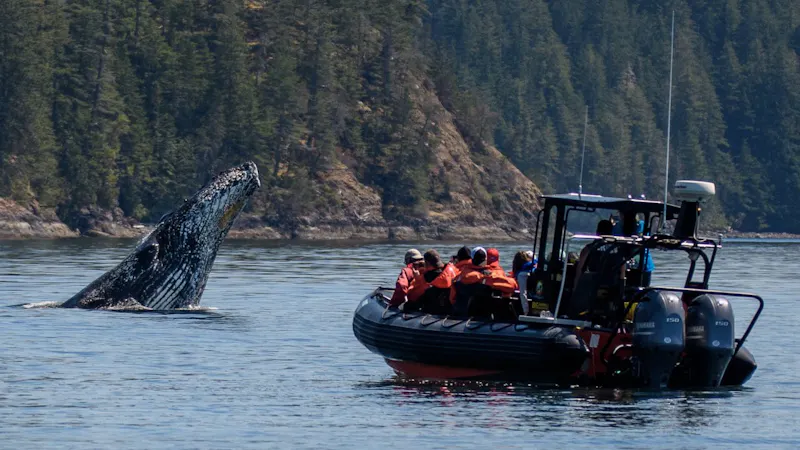 AusflugBritish ColumbiaBig Animal Encounters 316420