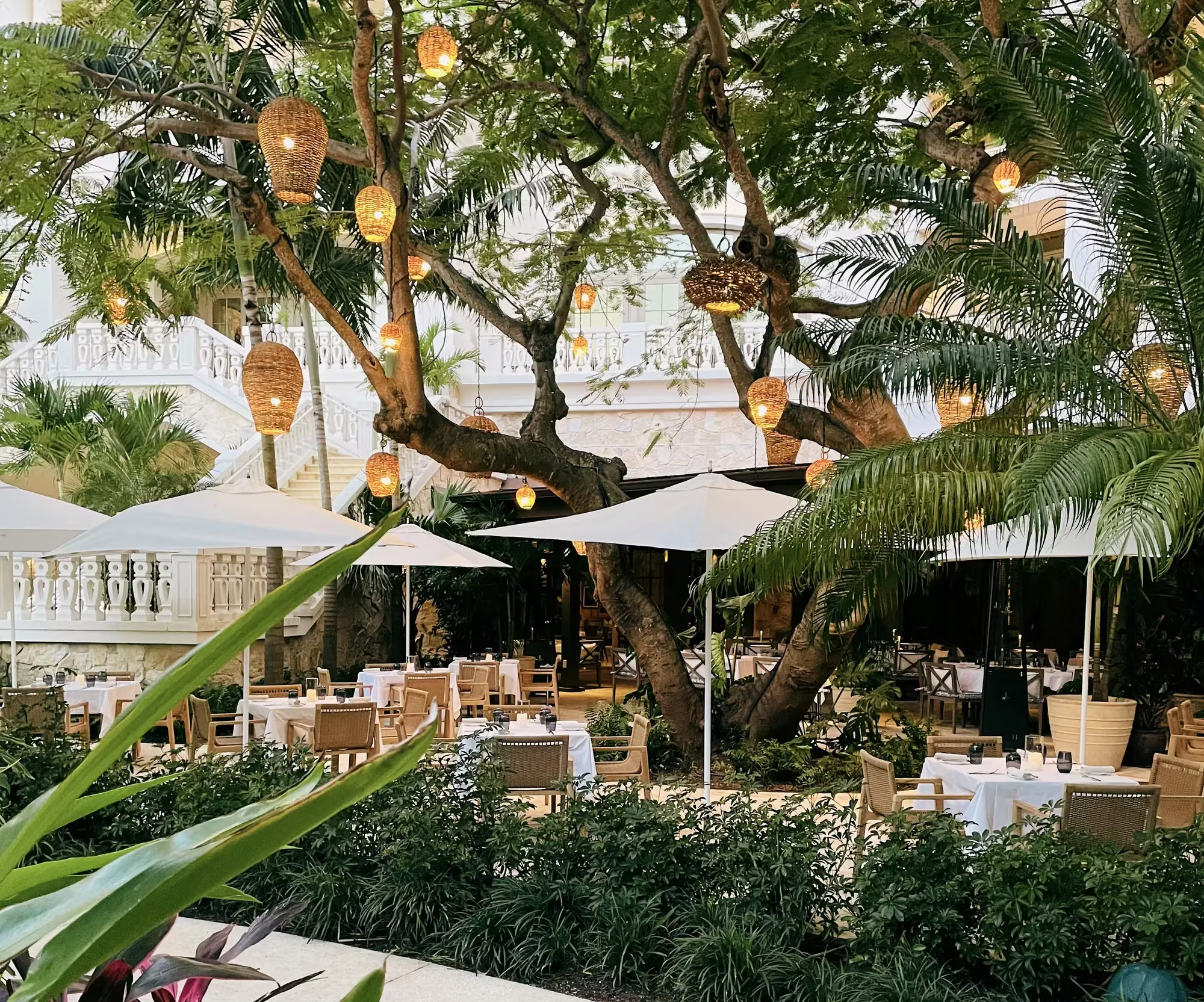 HDHotelBahamasNassauRosewood Baha MarFacilities F B S M CafeBoulud 048