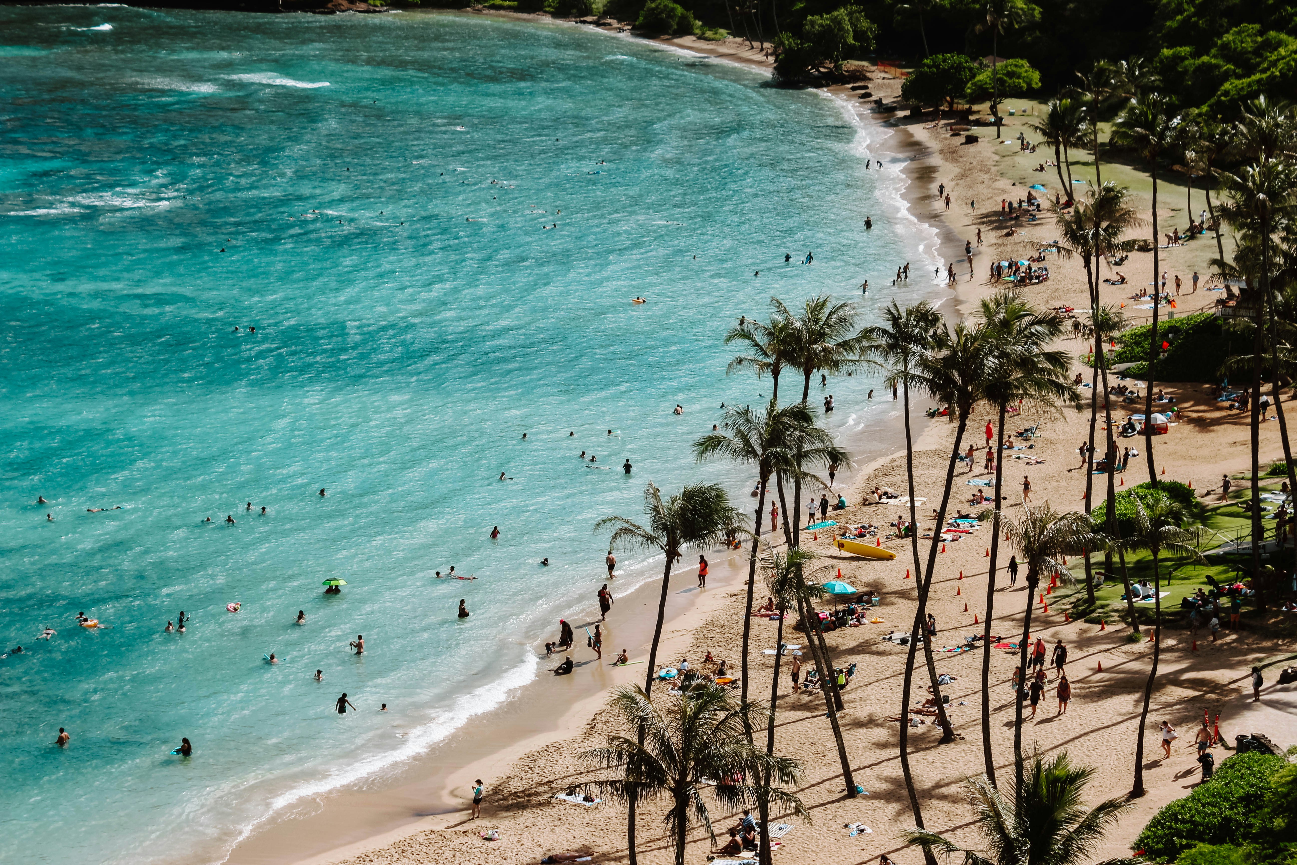 HDHawaiiHonoluluStrand2