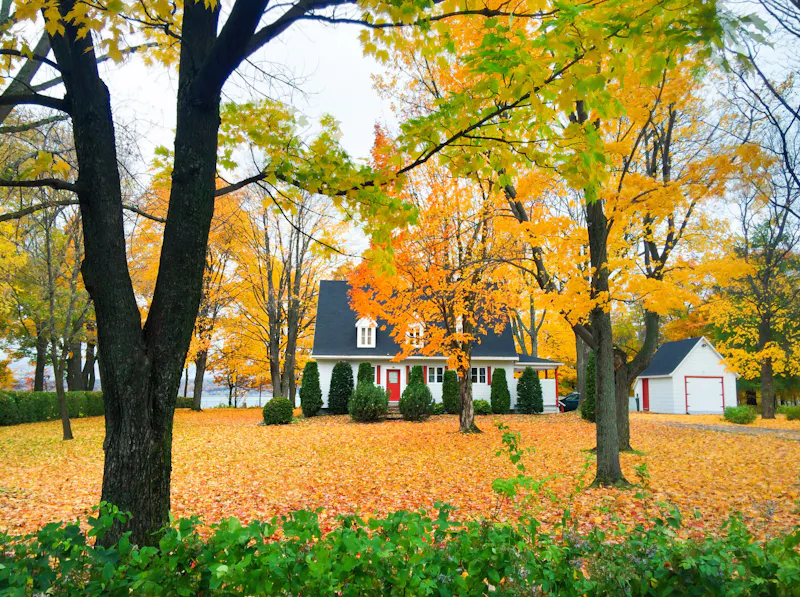 Ile d'Orleans