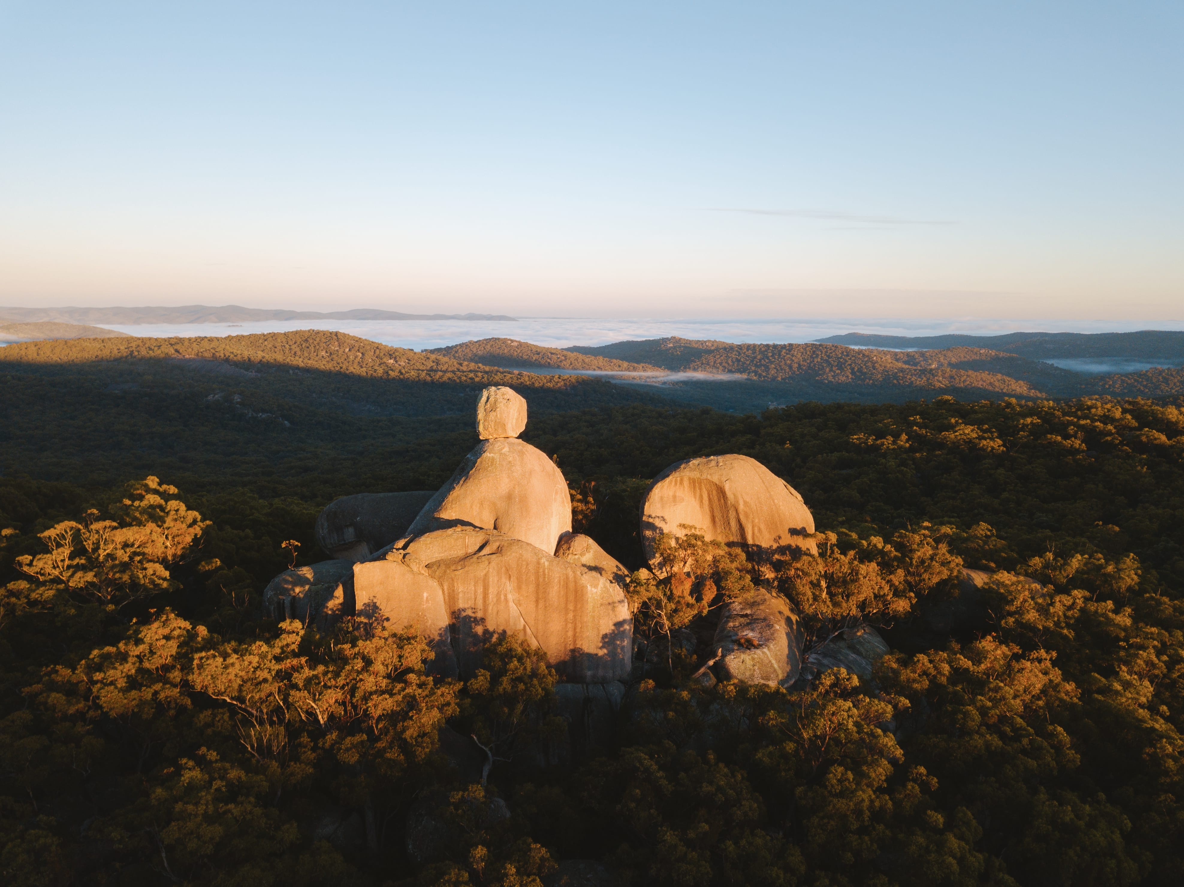 HDAustralienQLDHinterlandGirraween NP 138098 ReubenNutt TEQ