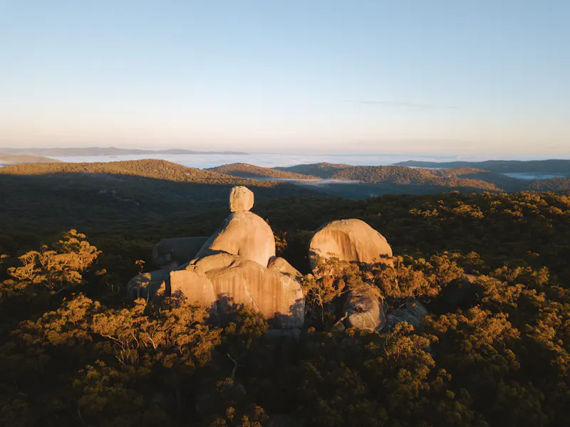 HDAustralienQLDHinterlandGirraween NP 138098 ReubenNutt TEQ