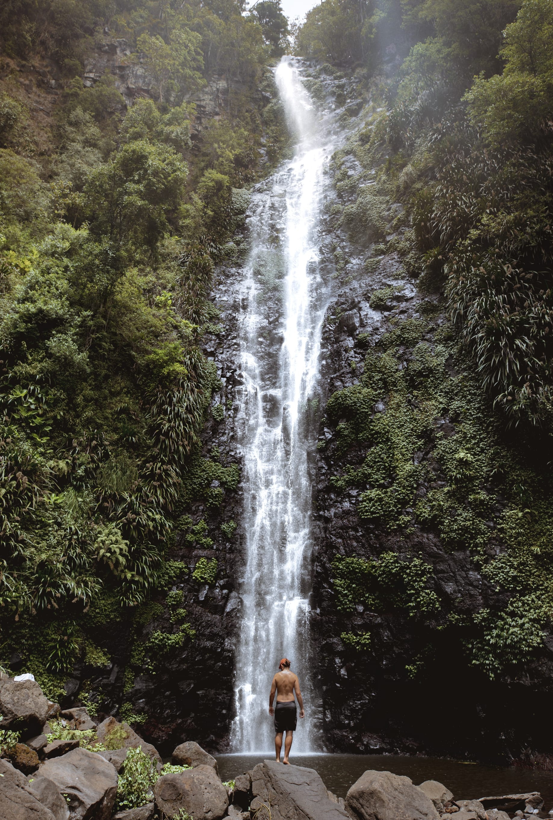 HDAustralienQLDHinterlandLamington NP Larapinta Falls 140989 Kyle Hunter Hay