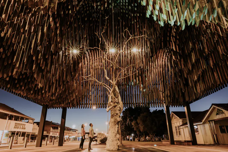HDAustralienQLDOutbackBarcaldine TreeOfKnowledge 142479 JackHarlem Firme TEQ