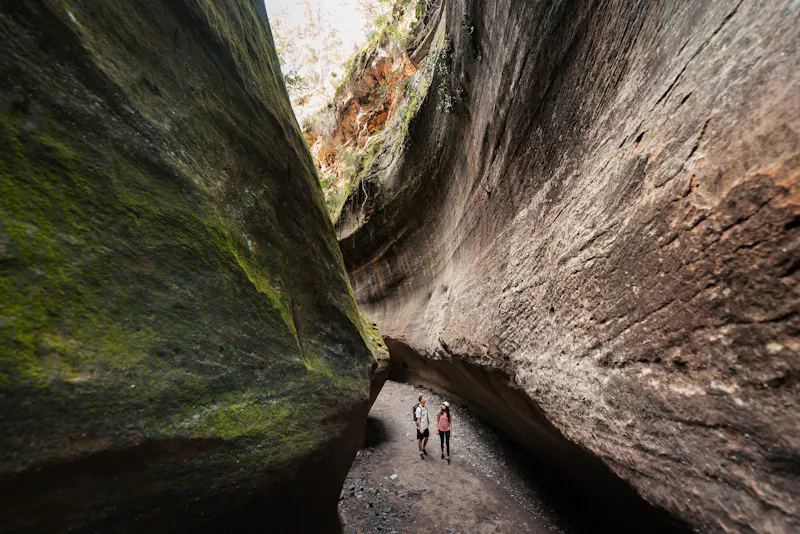 HDAustralienQLDOutbackCarnarvon NP BoowindaGorge 155456 JesseLindemann TEQ